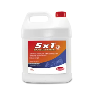 5x1 Evolution NF