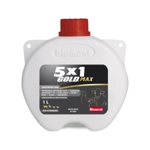 5x1 Gold Max